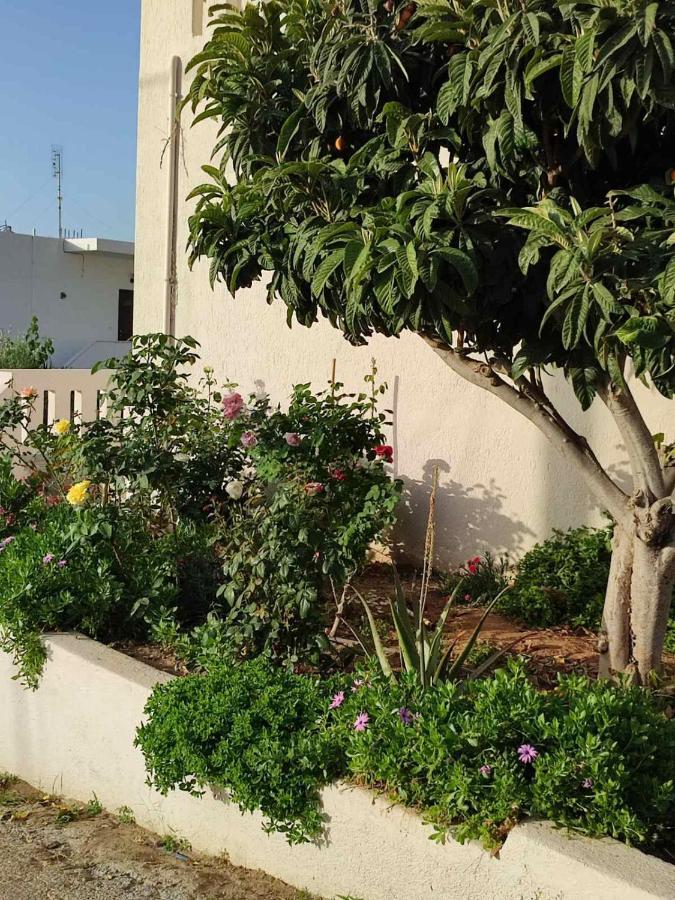 Kassandra Garden Residence Istron Zewnętrze zdjęcie